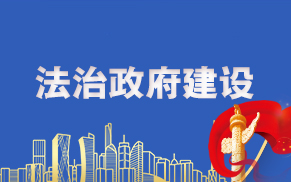 法治政府建設(shè)情況報告